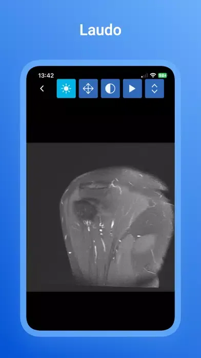 LLR Entrega de Exames应用截图