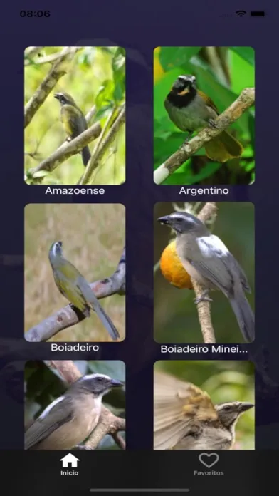 Tangkapan layar Cantos de Trinca Ferro
