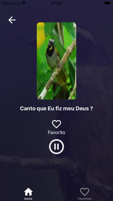 Tangkapan layar Cantos de Trinca Ferro