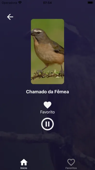 Tangkapan layar Cantos de Trinca Ferro