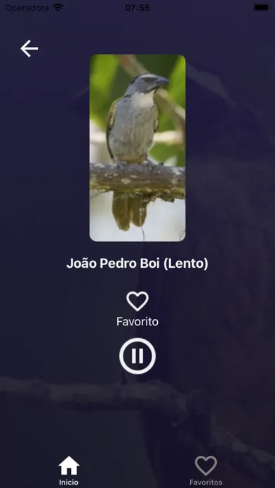 Tangkapan layar Cantos de Trinca Ferro