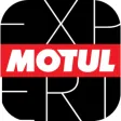 Motul Expert