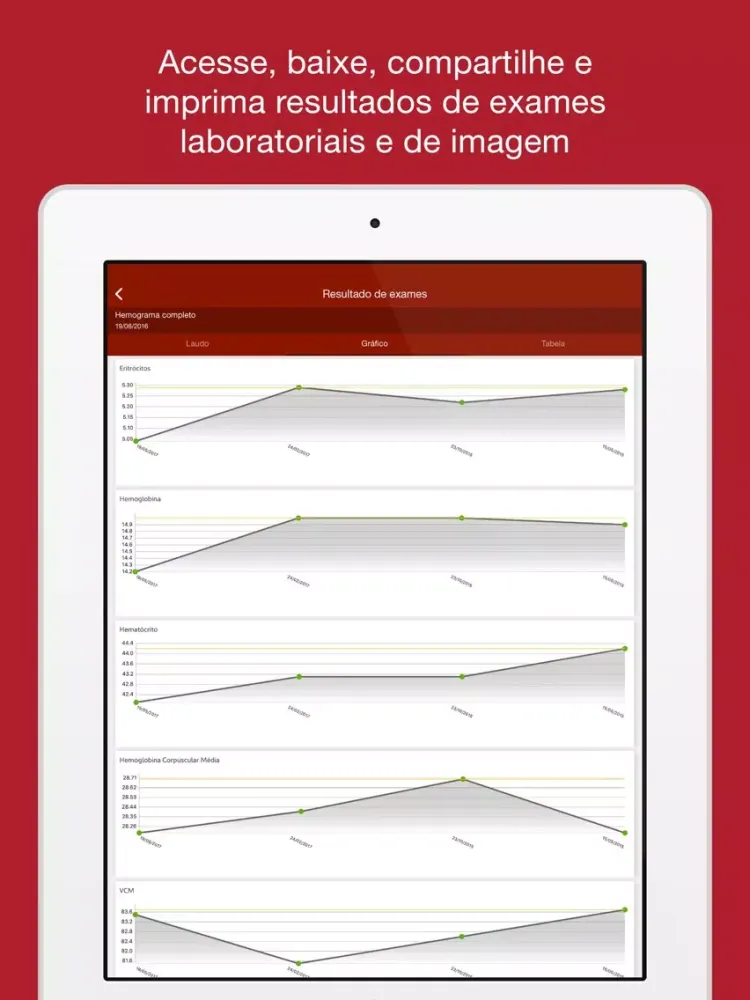 Felippe Mattoso Clientes iPad  Screenshots