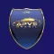 APVS Brasil