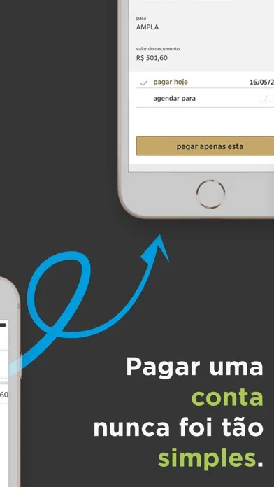 Capturas de pantalla de papelada - controle de gastos