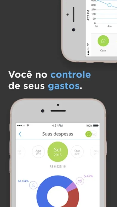 Capturas de pantalla de papelada - controle de gastos