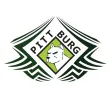 Pitt Burg Lanches