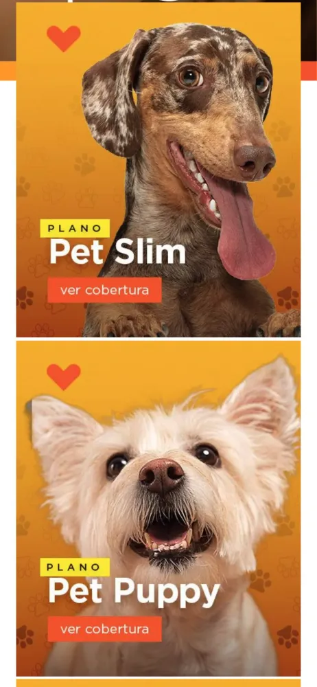 Ảnh chụp màn hình của Pet Health