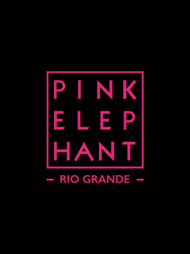Скриншоты Pink Elephant Rio Grande iPad 