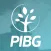PIB Goiabeiras