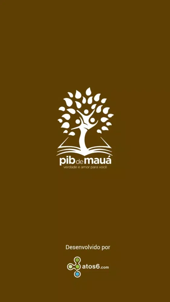 ภาพหน้าจอของ PIB de Maua