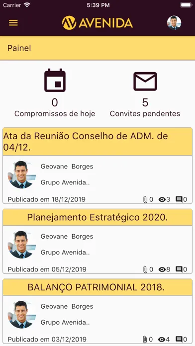Zrzuty ekranu Grupo Avenida - Governança