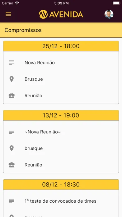 Zrzuty ekranu Grupo Avenida - Governança
