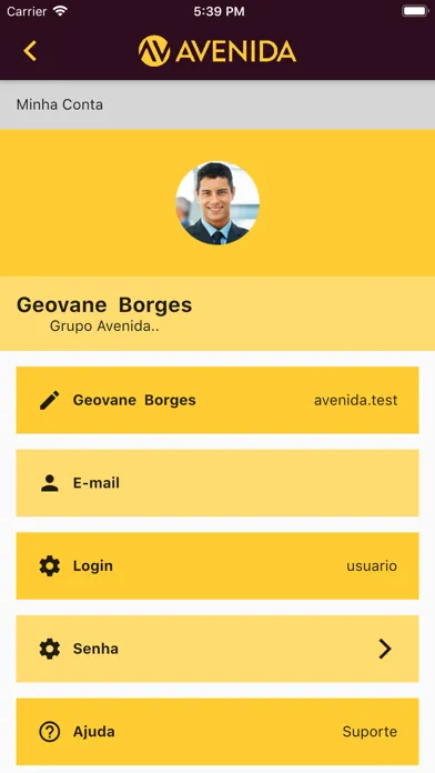 Zrzuty ekranu Grupo Avenida - Governança