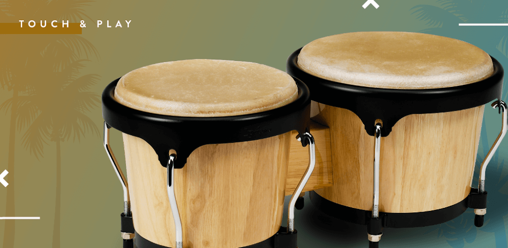 Congas & Bongos