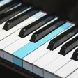 Real Piano electronic keyboard Real Piano electronic keyboard