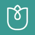 Aprimori