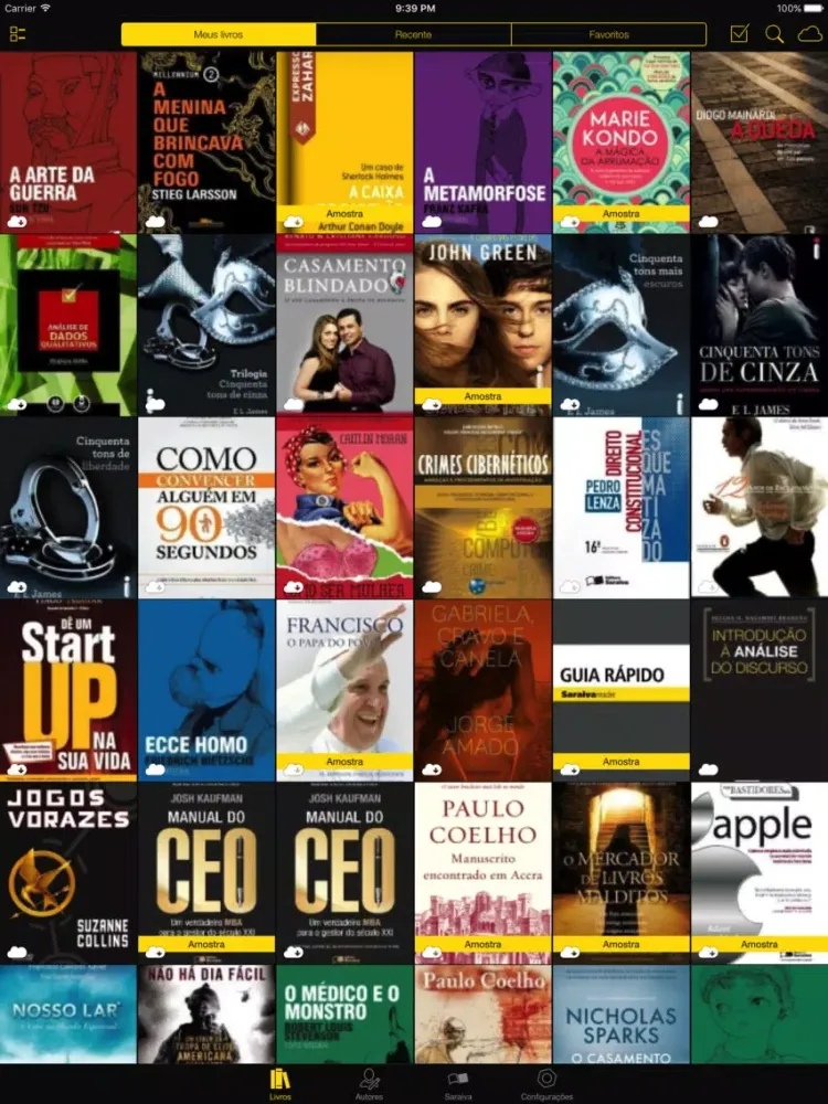 Скриншоты Lev Saraiva iPad 