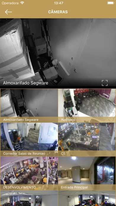 Screenshot di Engefort Alarme e Câmera