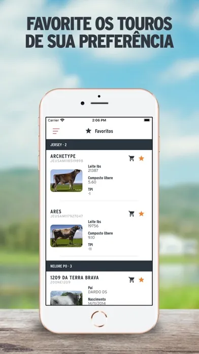 Ảnh chụp màn hình của Semex Brasil