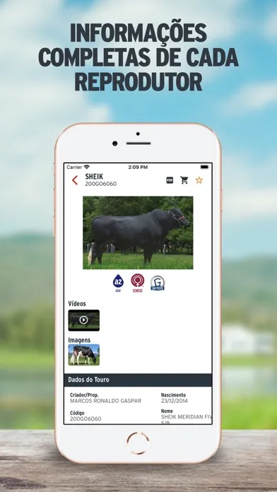 Ảnh chụp màn hình của Semex Brasil