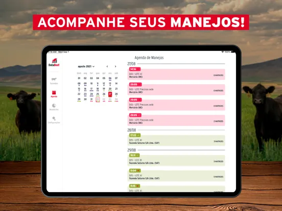 Ảnh chụp màn hình của Data Beef iPad 