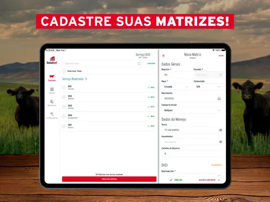 Ảnh chụp màn hình của Data Beef iPad 