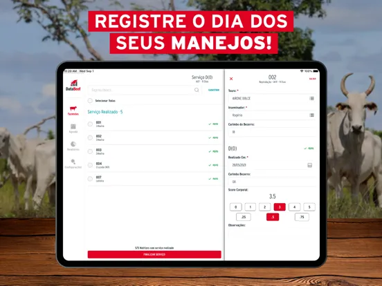 Ảnh chụp màn hình của Data Beef iPad 