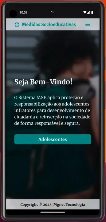 MSEMG Screenshots