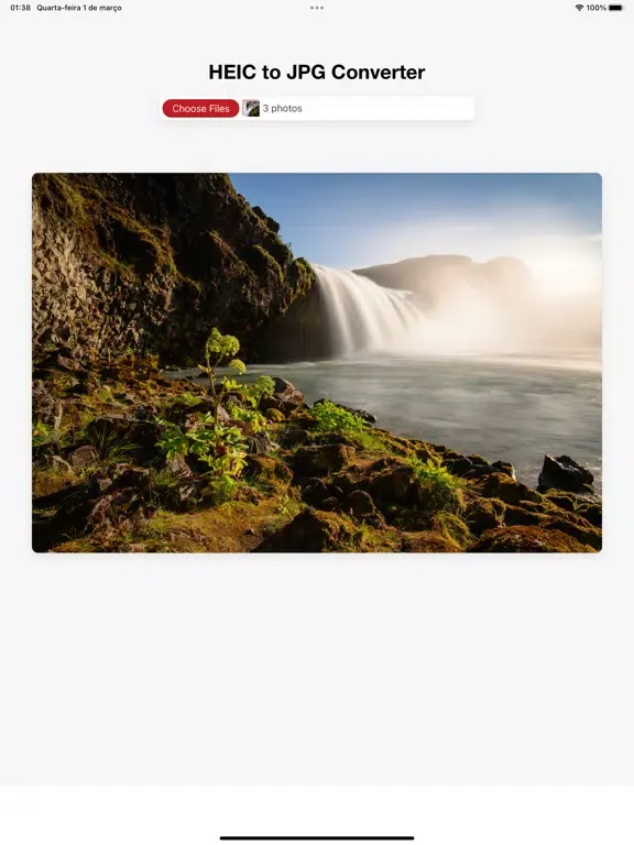 Tangkapan skrin Heic to JPG iPad 