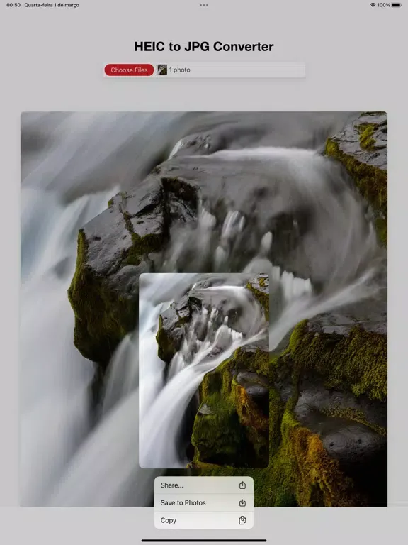 Tangkapan skrin Heic to JPG iPad 