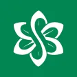 SolarView