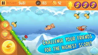 Kew Kew - The Crazy & Nuts Flying Squirrel Game স্ক্রিনশট