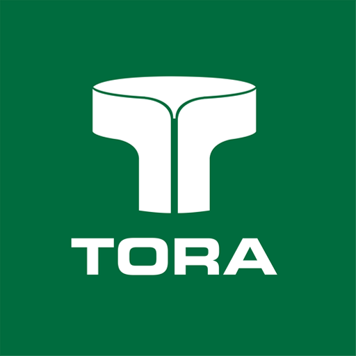 Tora: Fretes e Cargas