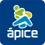 Ápice Treinamento