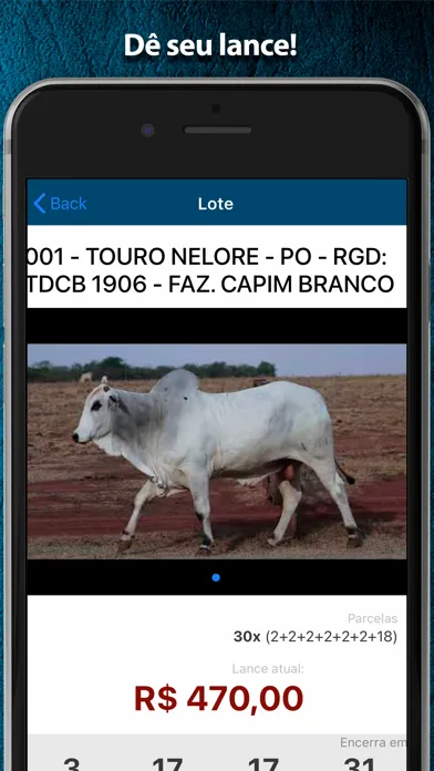 Capturas de pantalla de TV Arroba