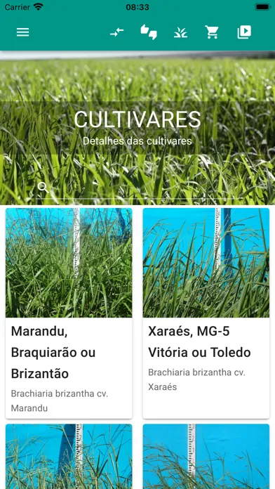 Capturas de tela do Pasto Certo