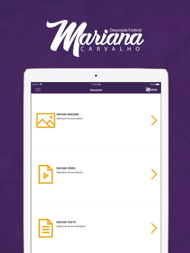 تصاویر Deputada Mariana Carvalho iPad 