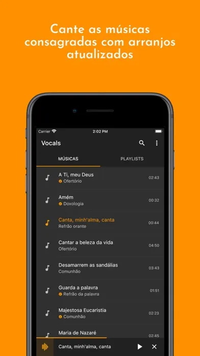 Capturas de tela do Vocals