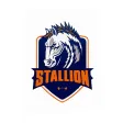 Stallion CF Stallion CF
