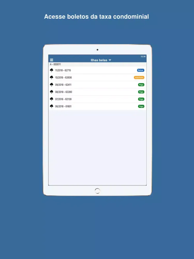 Скриншоты Conética Condomínios iPad 