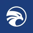 Solid Falcon Solid Falcon