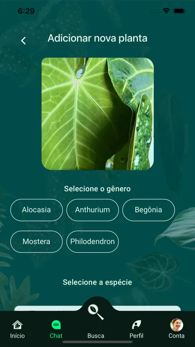Capturas de tela do Gimme Jungle