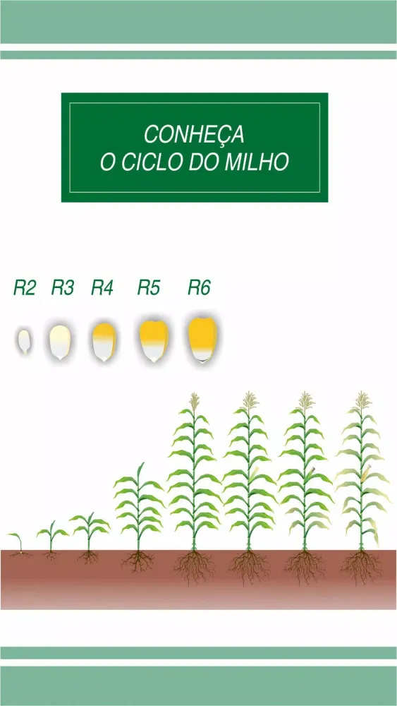Doutor Milho應用截圖