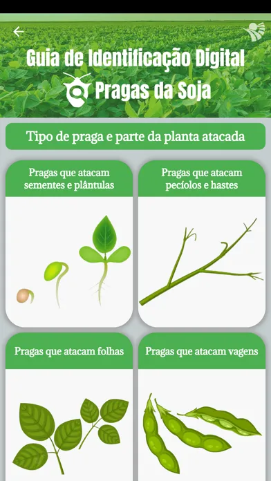 Capturas de pantalla de GID Pragas da Soja