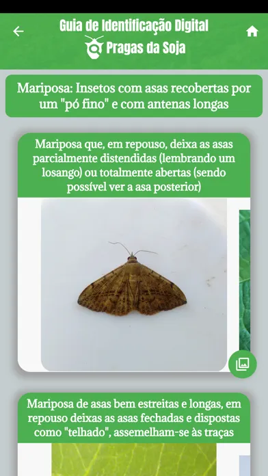 Capturas de pantalla de GID Pragas da Soja
