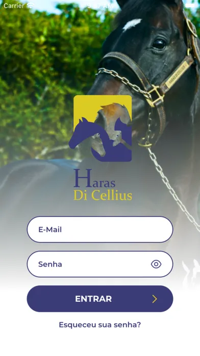 Haras Di Cellius Screenshots