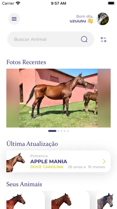 Haras Di Cellius Screenshots
