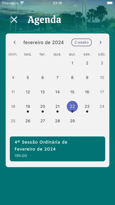 Tangkapan layar Câmara Municipal de Rio Verde