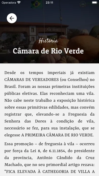 Tangkapan layar Câmara Municipal de Rio Verde